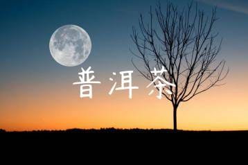 wpac-thumb-12715_jpg