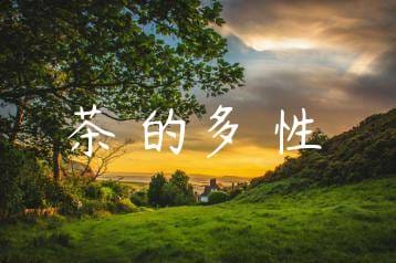 wpac-thumb-12746_jpg