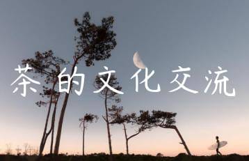 wpac-thumb-12755_jpg