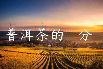 wpac-thumb-12770_jpg