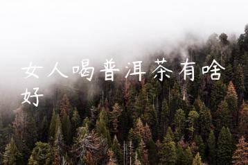 wpac-thumb-12995_jpg