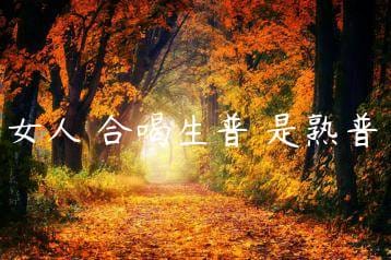 wpac-thumb-13035_jpg