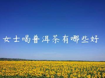 wpac-thumb-13042_jpg