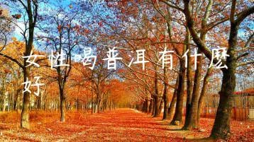 wpac-thumb-13103_jpg