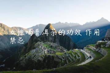 wpac-thumb-13125_jpg