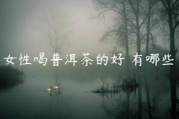 wpac-thumb-13143_jpg