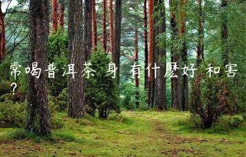 wpac-thumb-13469_jpg