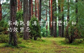 wpac-thumb-13569_jpg