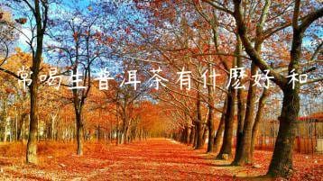 wpac-thumb-13603_jpg