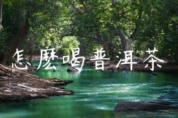 wpac-thumb-13631_jpg