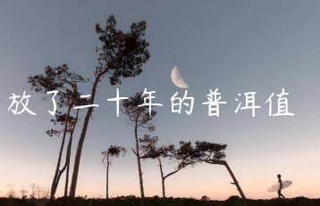 wpac-thumb-13655_jpg