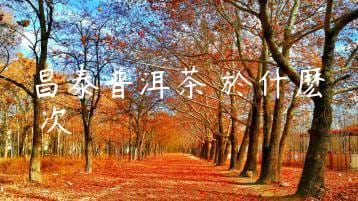 wpac-thumb-13703_jpg