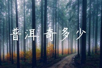 wpac-thumb-13764_jpg