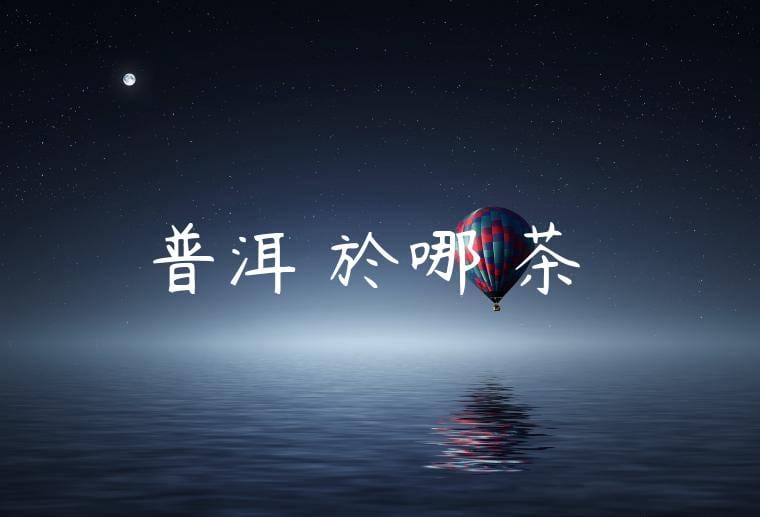 普洱屬於哪種茶樹