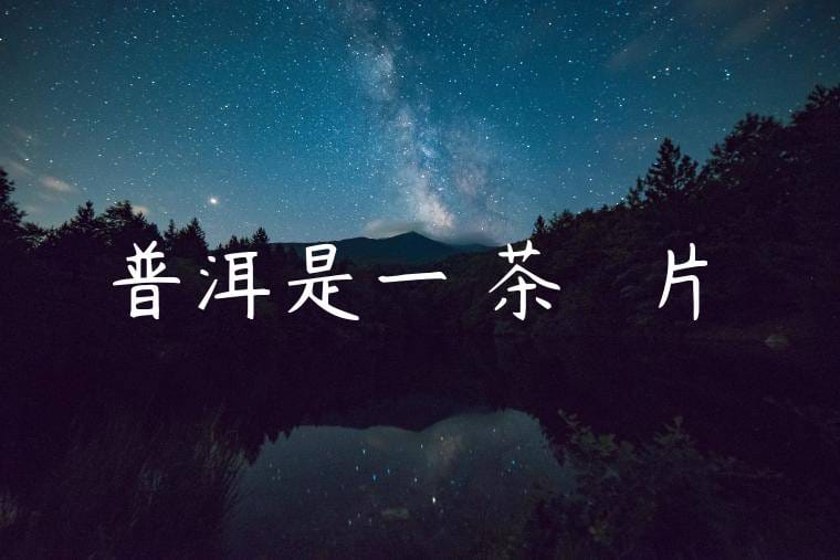 普洱是一種茶樹嗎圖片