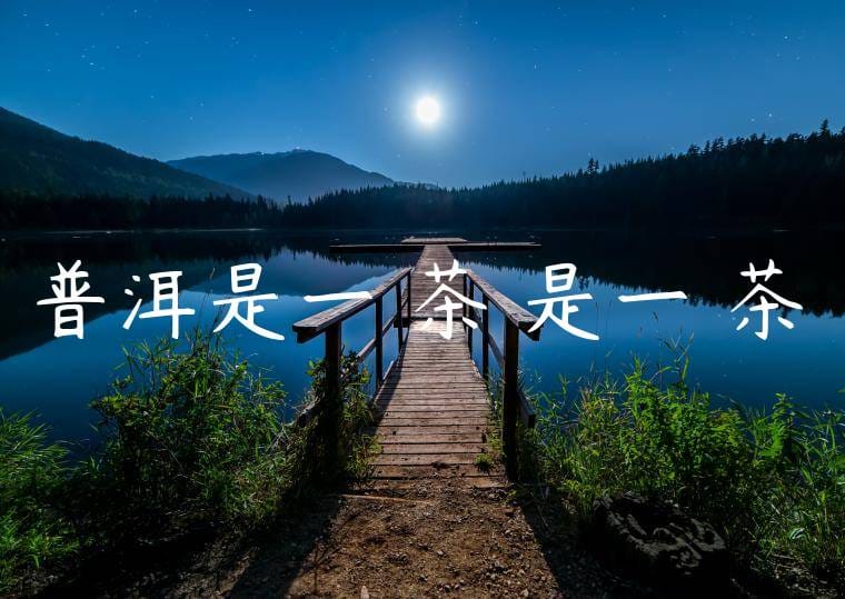 普洱是一種茶還是一類茶