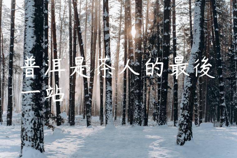 普洱是茶人的最後一站