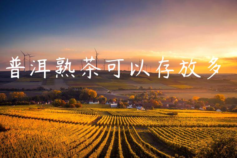 普洱熟茶可以存放多長時間