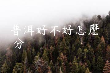 wpac-thumb-13795_jpg