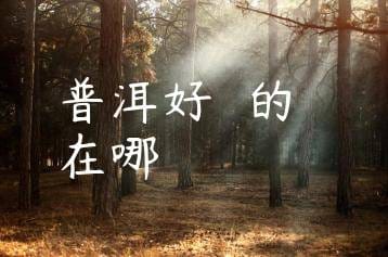 wpac-thumb-13801_jpg