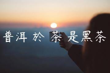 wpac-thumb-13811_jpg