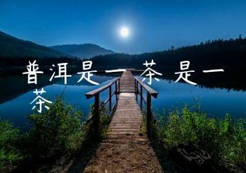 wpac-thumb-13832_jpg