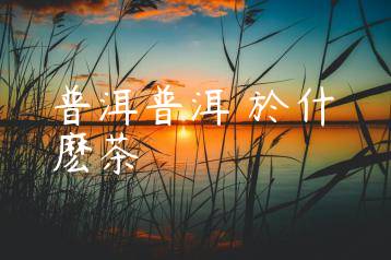 wpac-thumb-13854_jpg