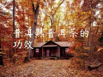 wpac-thumb-13857_jpg