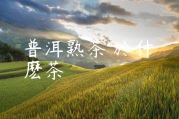 wpac-thumb-13882_jpg