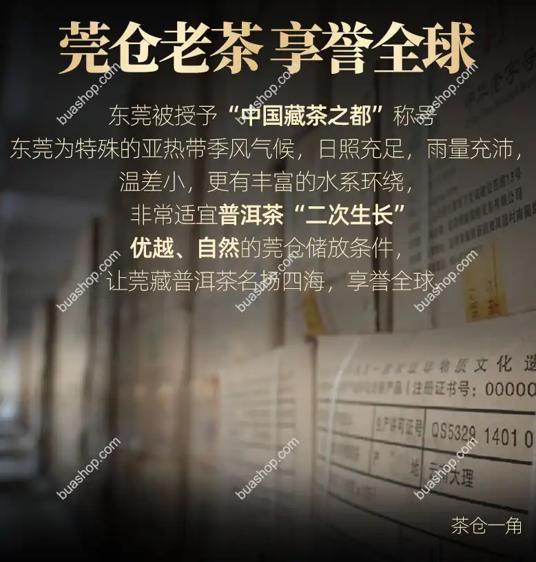 下关沱茶2003五大金刚饼茶绿印乙级老茶院舍二十年老生茶陈年普洱茶390克一饼 普洱茶 BUASHOP普洱老茶