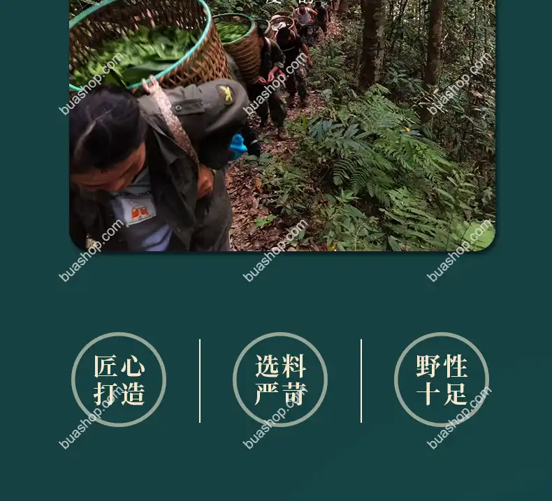 鸿中鸿 薄荷塘单株(龙珠)生茶轻奢礼盒装-180克一盒 普洱茶 BUASHOP普洱老茶