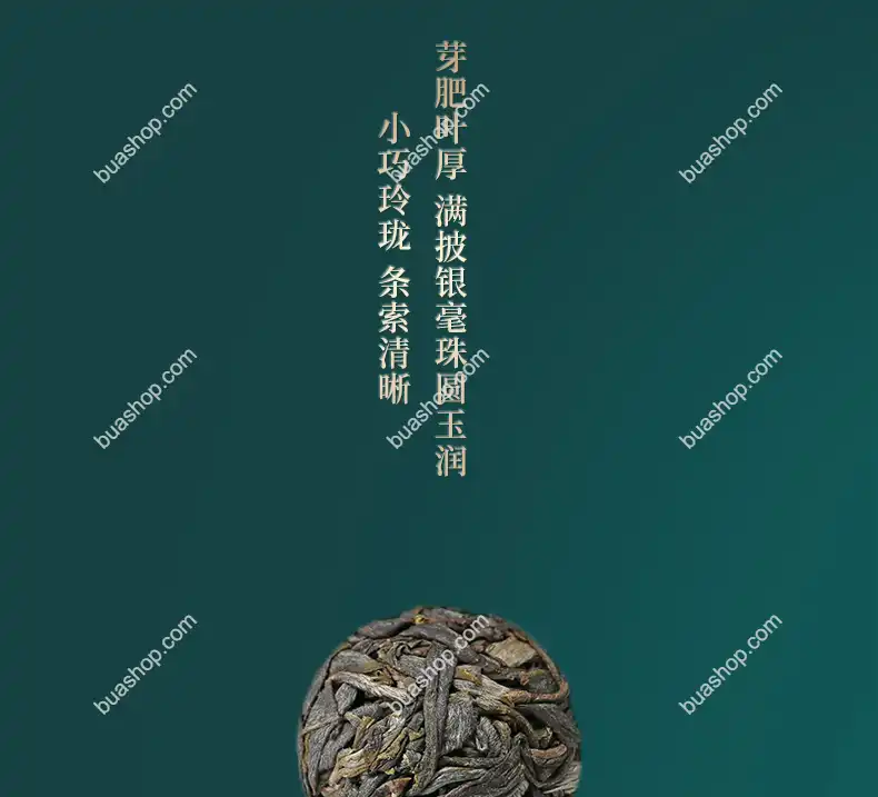 鸿中鸿 薄荷塘单株(龙珠)生茶轻奢礼盒装-180克一盒 普洱茶 BUASHOP普洱老茶