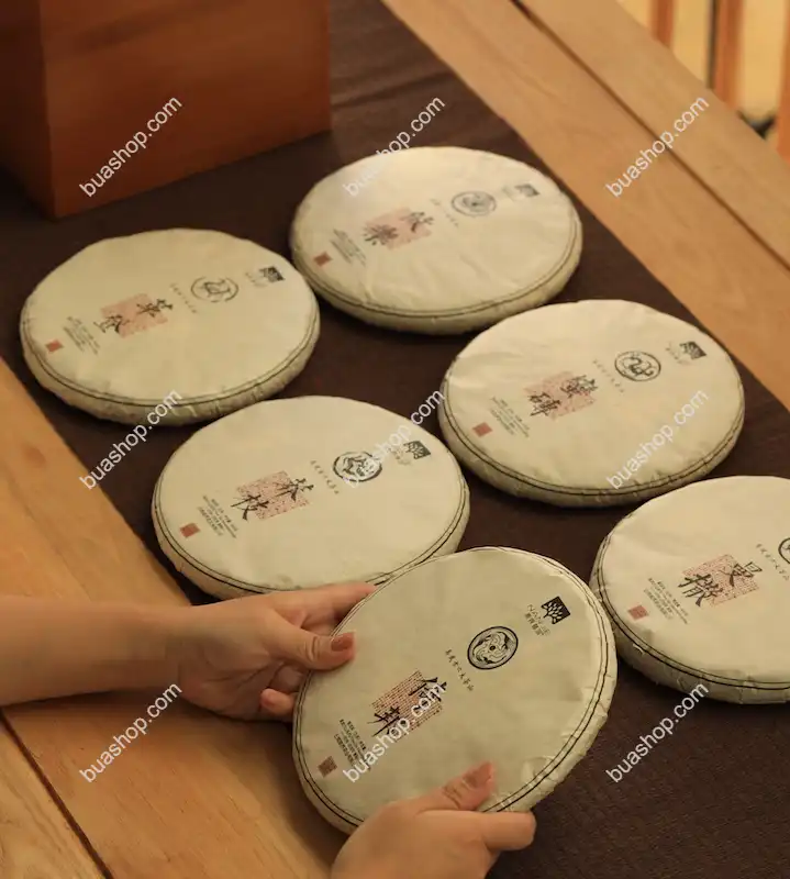 易武古六茶山合集(倚邦 蛮砖 革登 曼撒 莽枝 莜乐) 2018年 茶色光润 回甘生津持久口感独特 2.4kg/套共六饼 普洱茶 BUASHOP普洱老茶