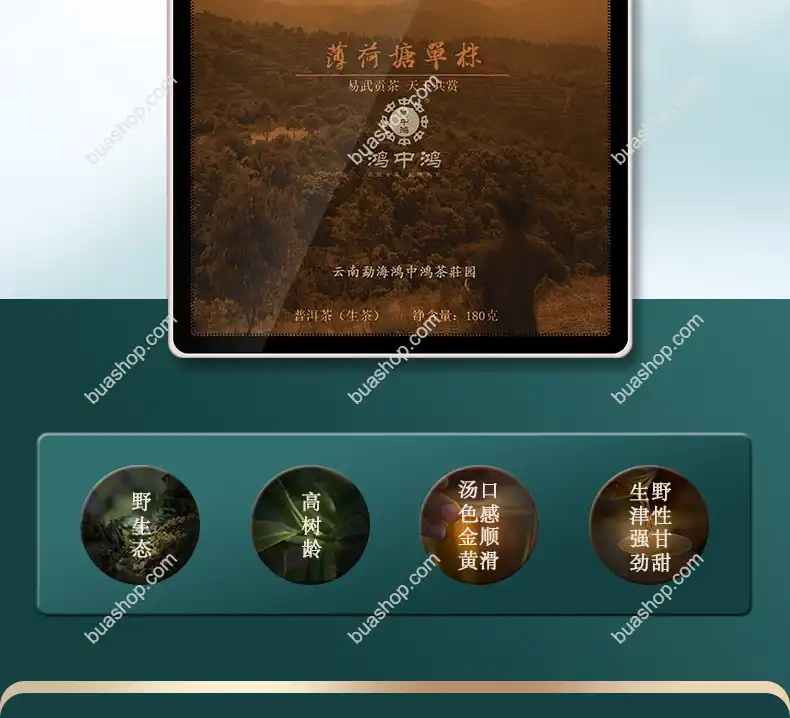 鸿中鸿 薄荷塘单株(龙珠)生茶轻奢礼盒装-180克一盒 普洱茶 BUASHOP普洱老茶