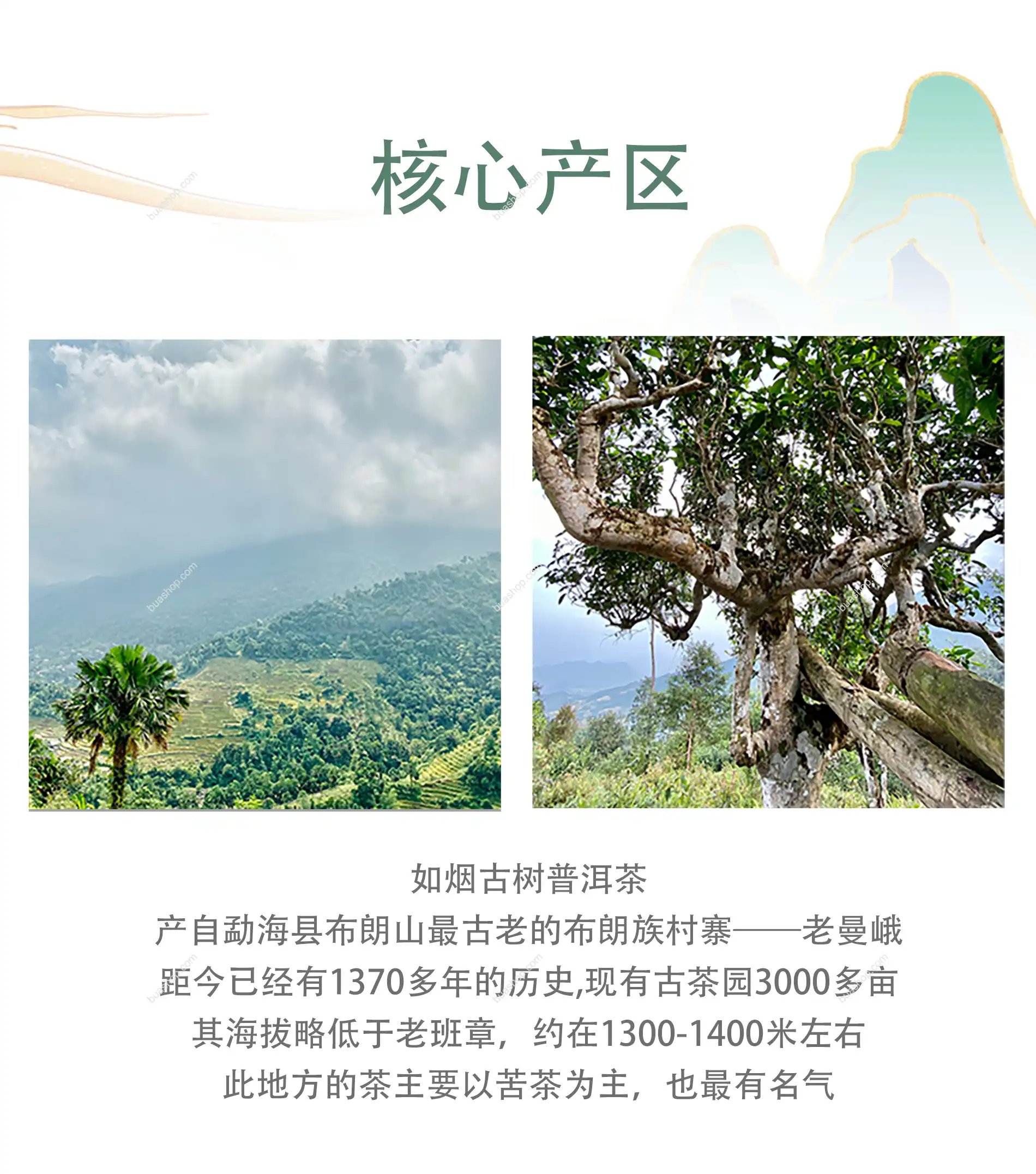 《如烟》云南晒青茶古树普洱生茶357克一饼礼盒装 普洱茶 BUASHOP普洱老茶