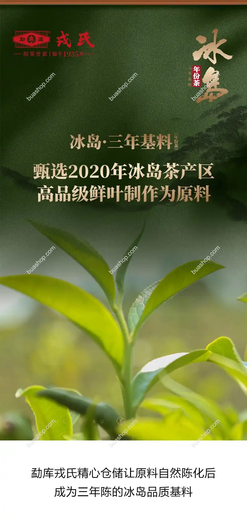 2025年冰岛三年陈普洱生茶小薄片礼盒装320g 普洱茶 BUASHOP普洱老茶