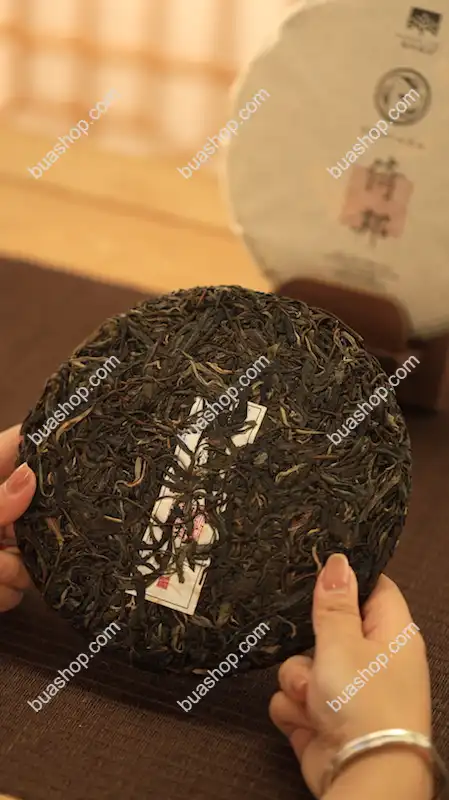 易武古六茶山合集(倚邦 蛮砖 革登 曼撒 莽枝 莜乐) 2018年 茶色光润 回甘生津持久口感独特 2.4kg/套共六饼 普洱茶 BUASHOP普洱老茶
