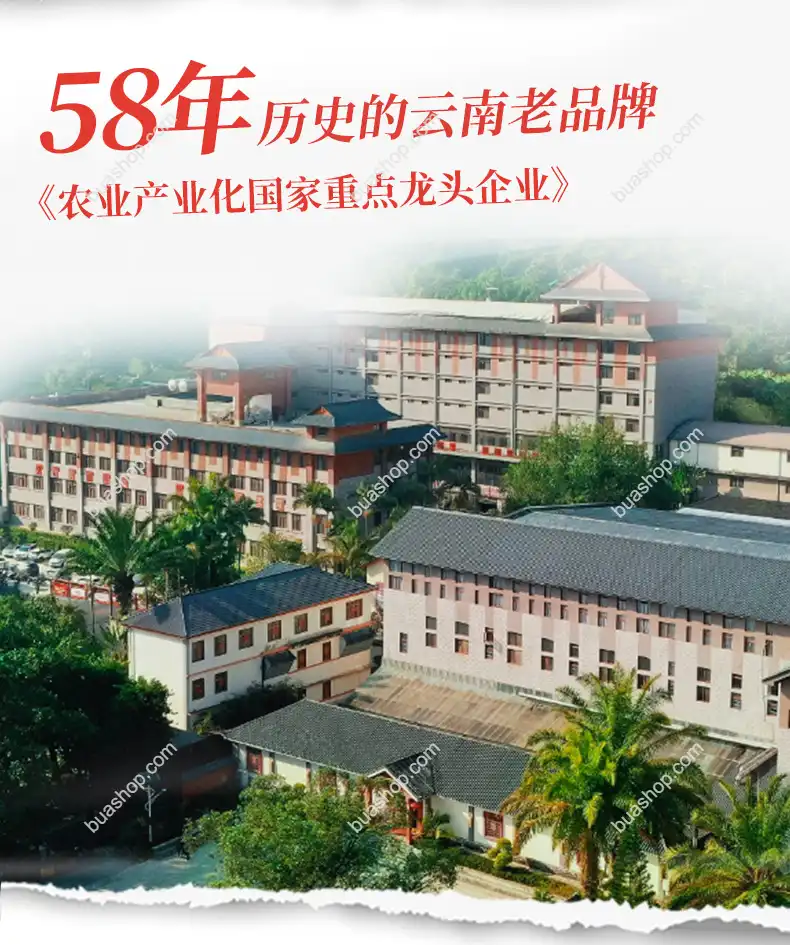 澜沧古茶澜沧熟普普洱茶熟茶礼盒装500g 普洱茶 BUASHOP普洱老茶