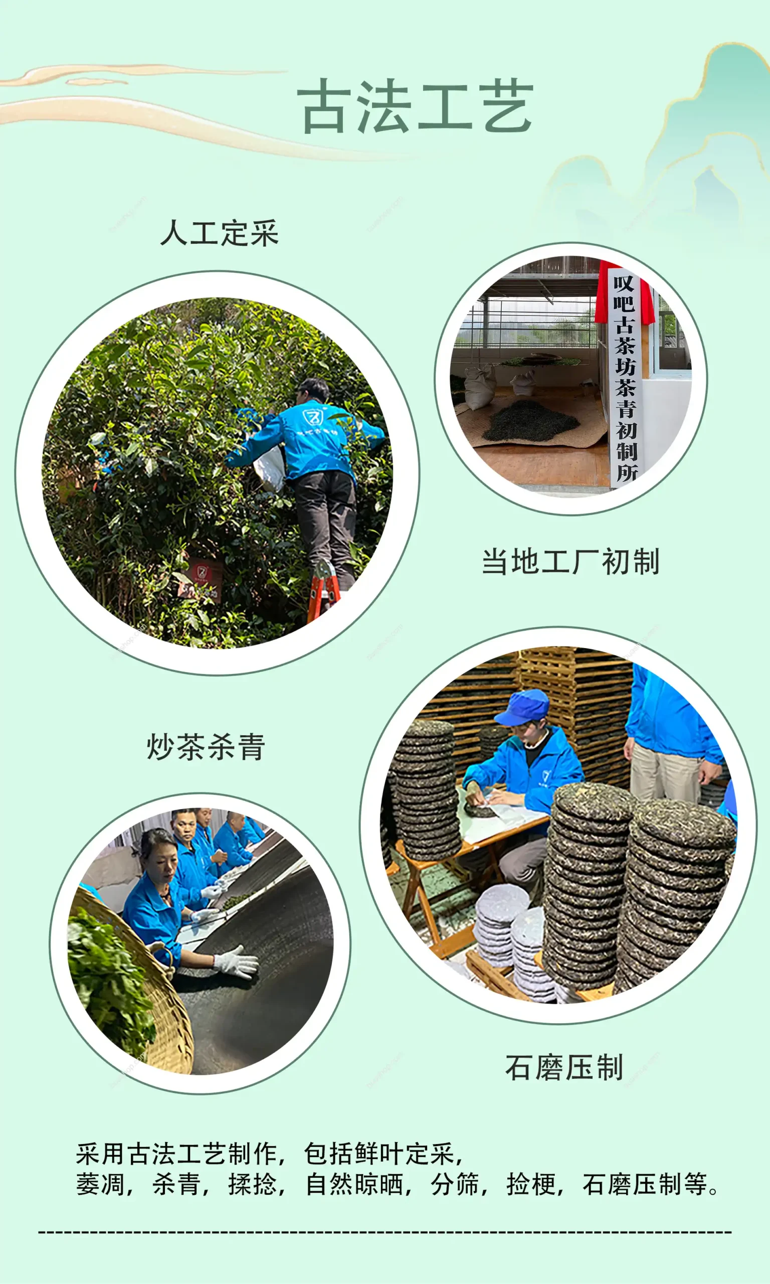 《如烟》云南晒青茶古树普洱生茶357克一饼礼盒装 普洱茶 BUASHOP普洱老茶