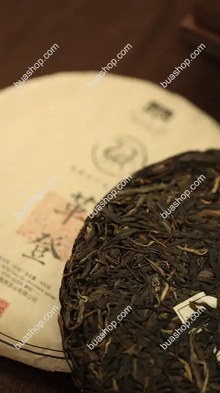 易武古六茶山合集(倚邦 蛮砖 革登 曼撒 莽枝 莜乐) 2018年 茶色光润 回甘生津持久口感独特 2.4kg/套共六饼 普洱茶 BUASHOP普洱老茶