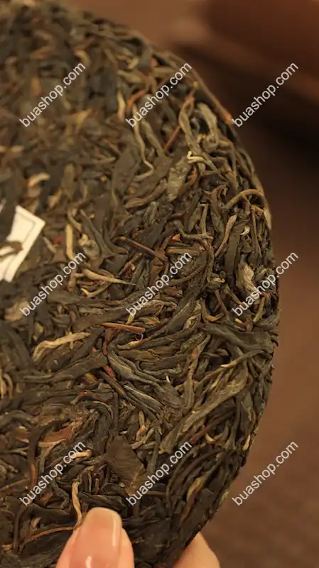 易武古六茶山合集(倚邦 蛮砖 革登 曼撒 莽枝 莜乐) 2018年 茶色光润 回甘生津持久口感独特 2.4kg/套共六饼 普洱茶 BUASHOP普洱老茶