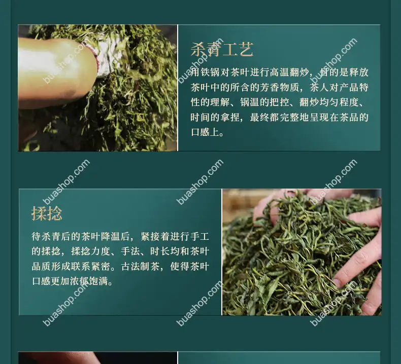 鸿中鸿 薄荷塘单株(龙珠)生茶轻奢礼盒装-180克一盒 普洱茶 BUASHOP普洱老茶