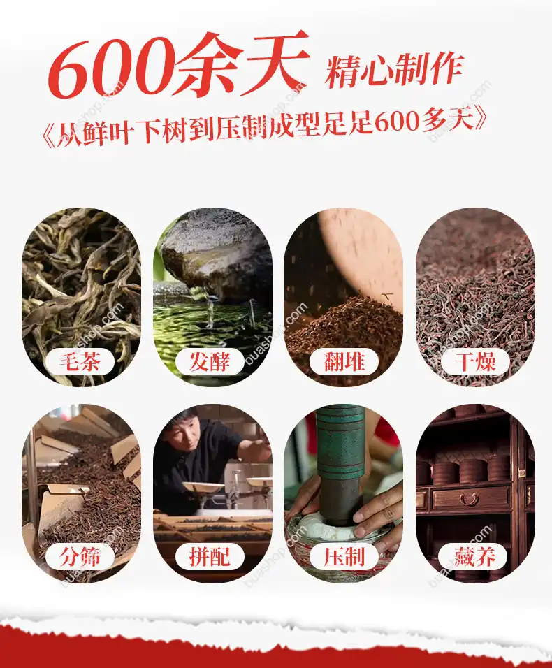 澜沧古茶澜沧熟普普洱茶熟茶礼盒装500g 普洱茶 BUASHOP普洱老茶