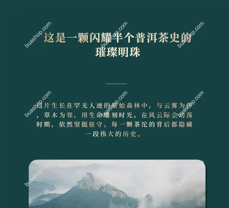 鸿中鸿 薄荷塘单株(龙珠)生茶轻奢礼盒装-180克一盒 普洱茶 BUASHOP普洱老茶