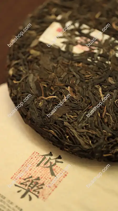 易武古六茶山合集(倚邦 蛮砖 革登 曼撒 莽枝 莜乐) 2018年 茶色光润 回甘生津持久口感独特 2.4kg/套共六饼 普洱茶 BUASHOP普洱老茶