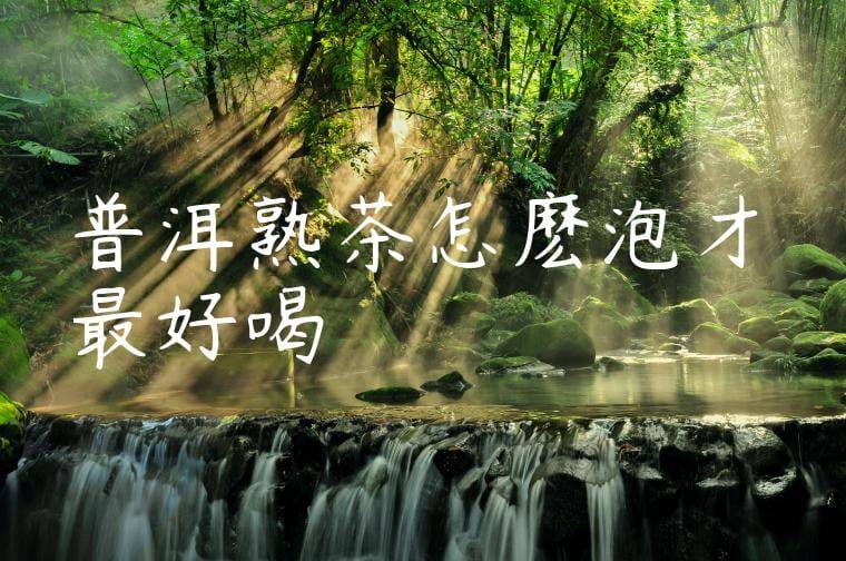 普洱熟茶怎麽泡才最好喝