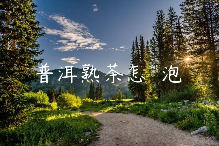 普洱熟茶怎樣沖泡
