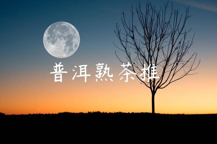 普洱熟茶推薦
