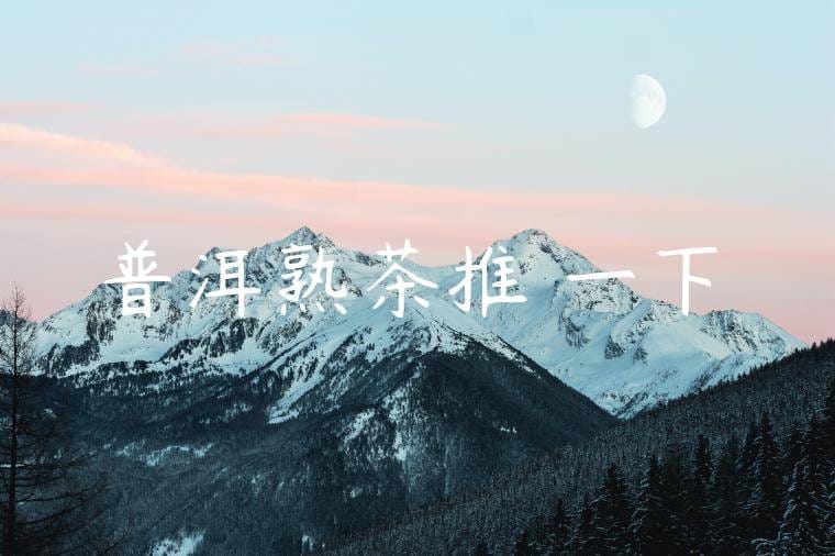 普洱熟茶推薦一下