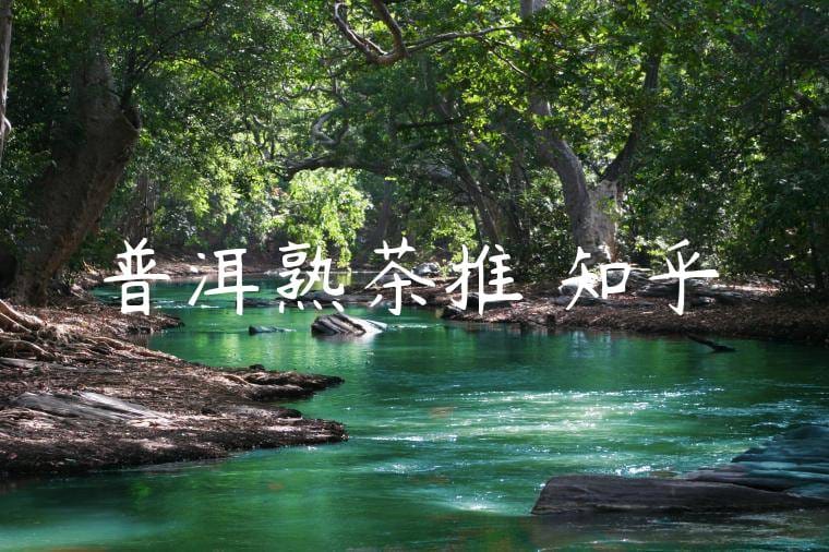 普洱熟茶推薦知乎